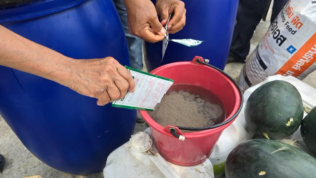 ภาพประกอบที่ 2