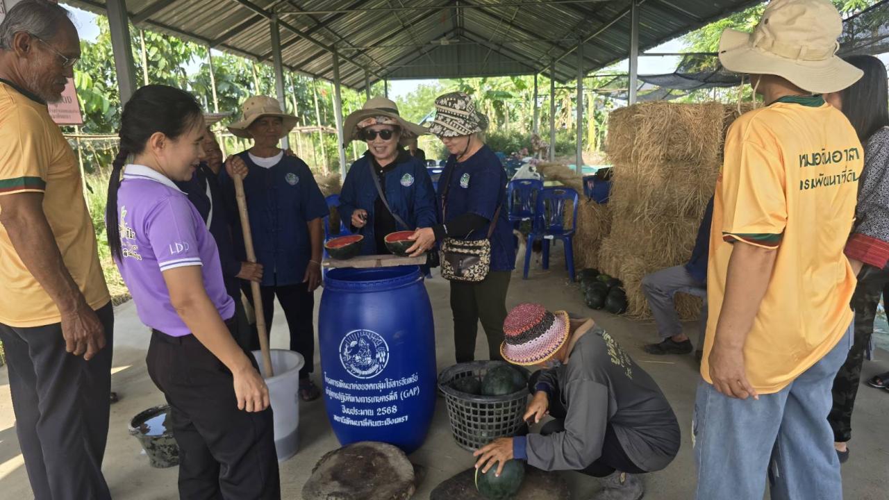 ภาพประกอบที่ 1