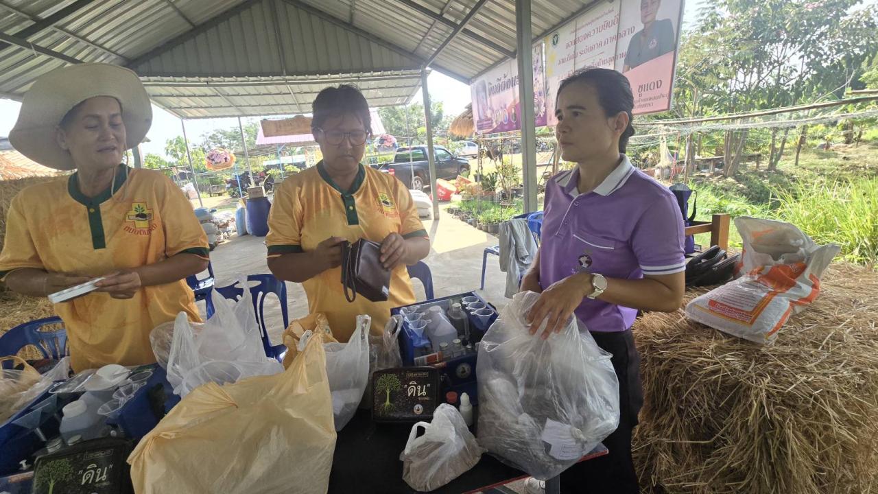 ภาพประกอบที่ 3