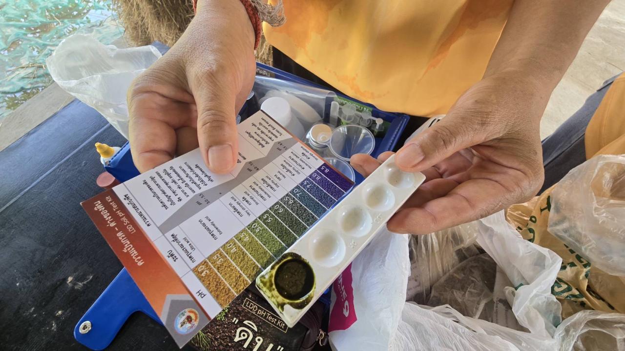 ภาพประกอบที่ 7