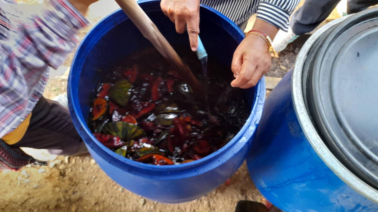 ภาพประกอบที่ 7