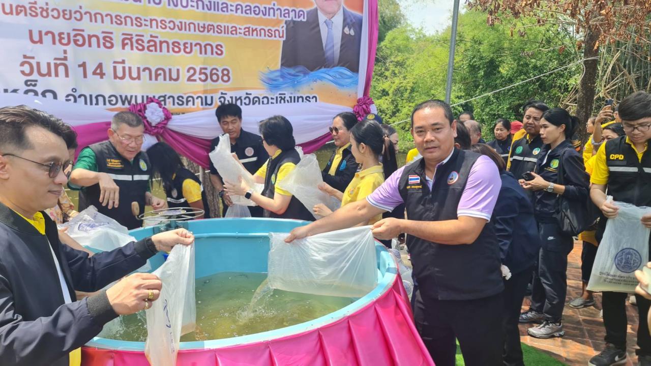 ภาพประกอบที่ 3