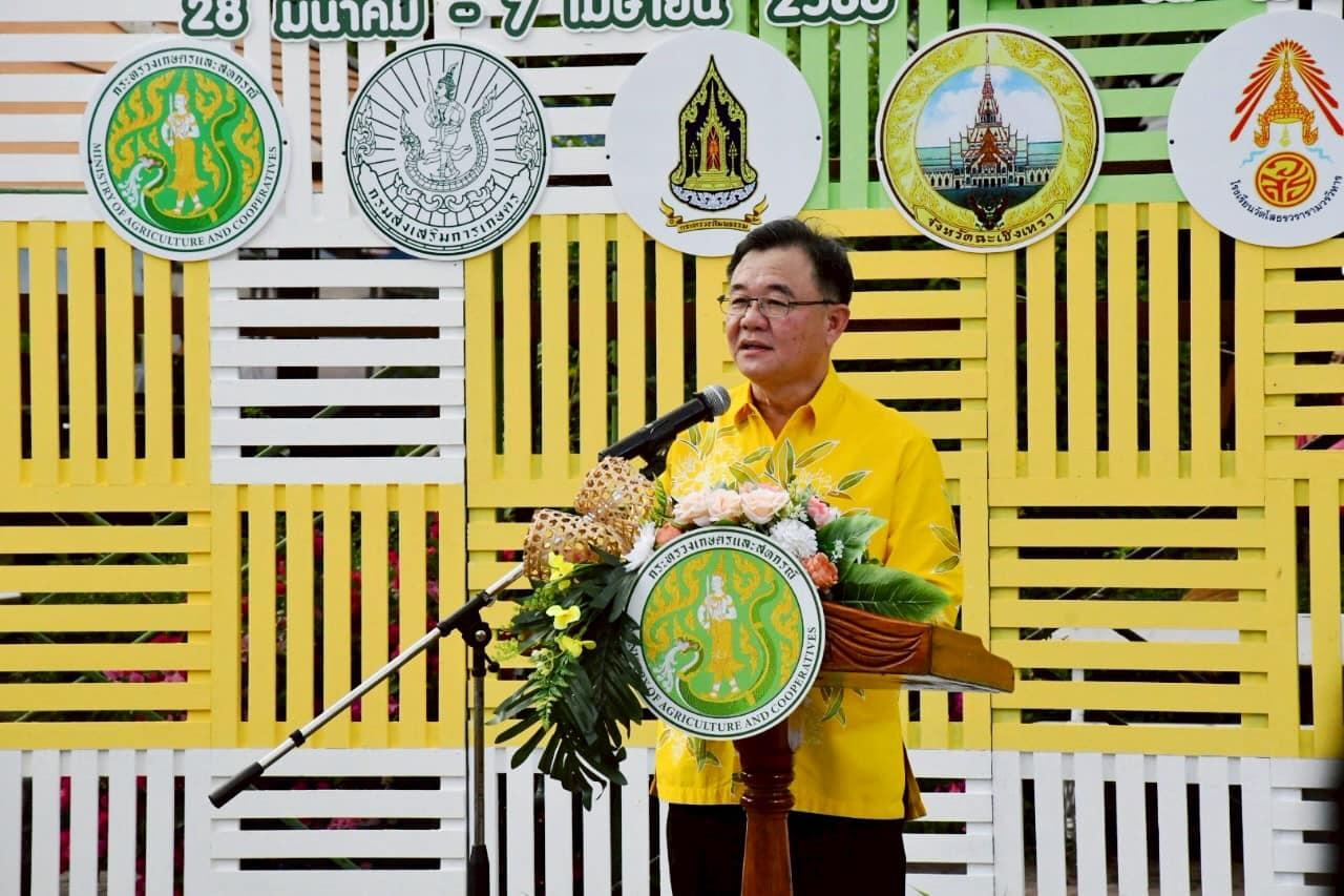 ภาพประกอบที่ 12