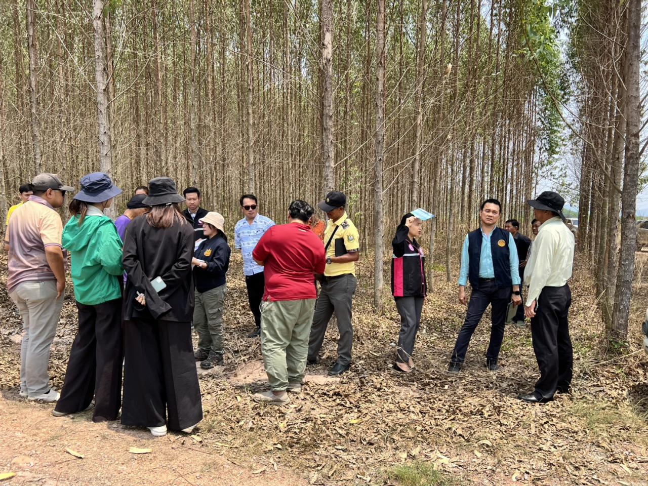 ภาพประกอบที่ 6