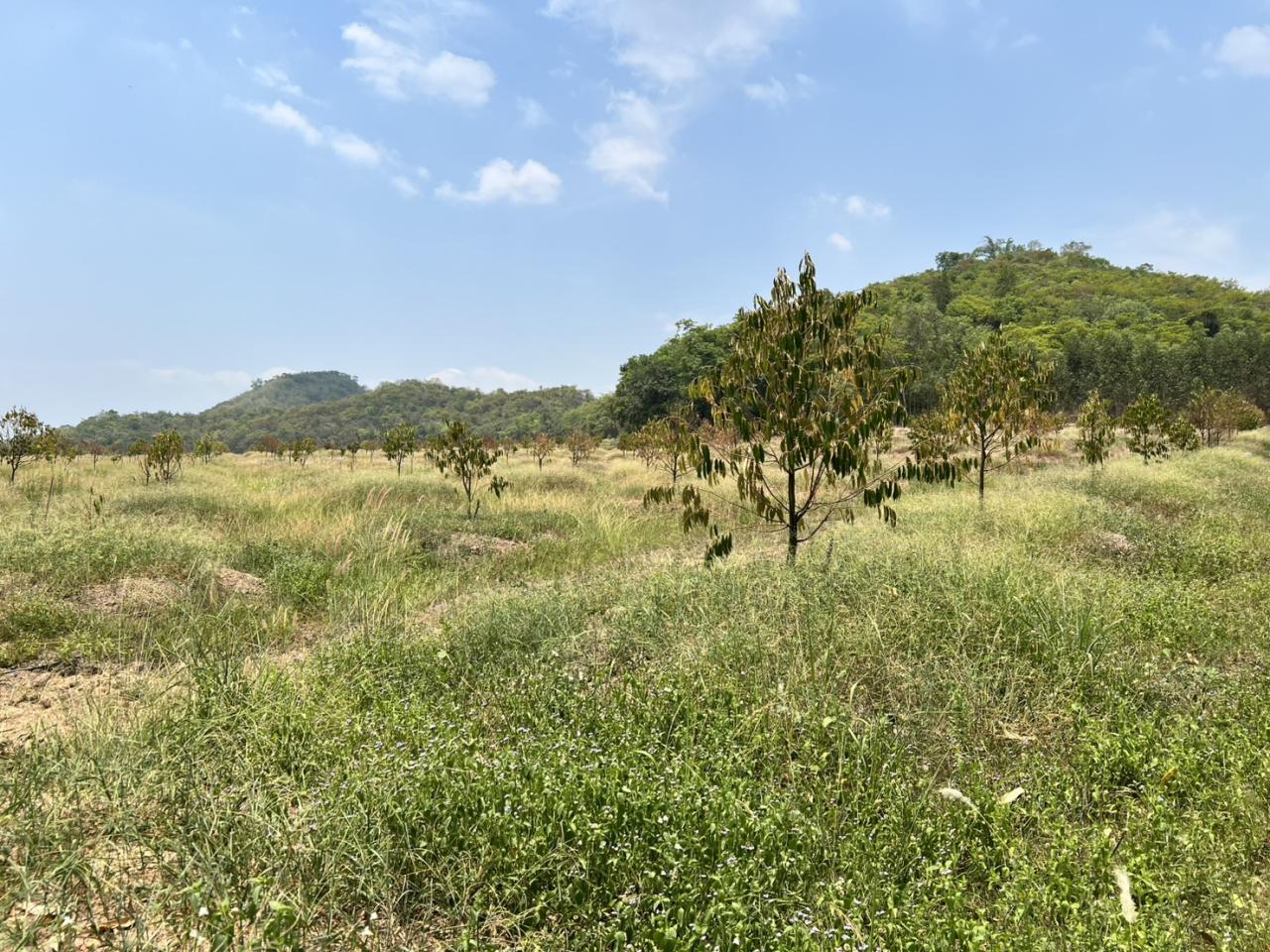 ภาพประกอบที่ 7