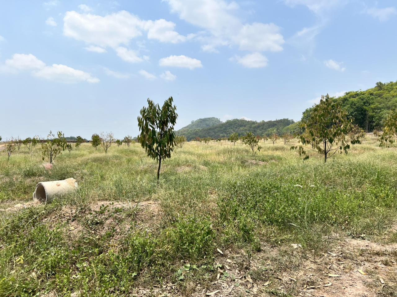 ภาพประกอบที่ 8