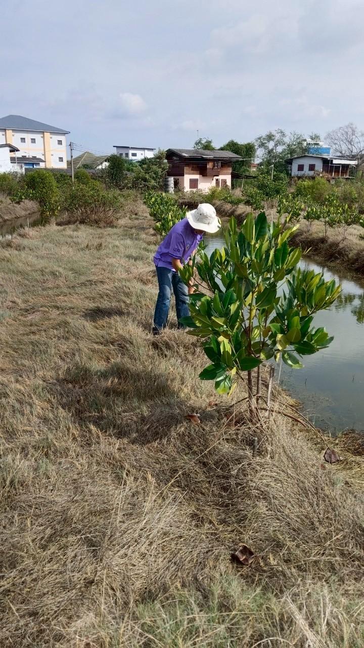 ภาพประกอบที่ 0