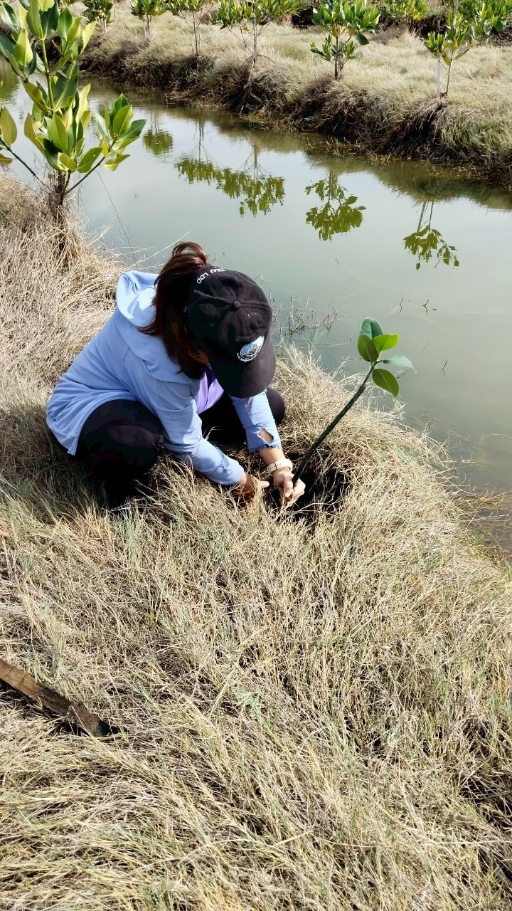 ภาพประกอบที่ 1