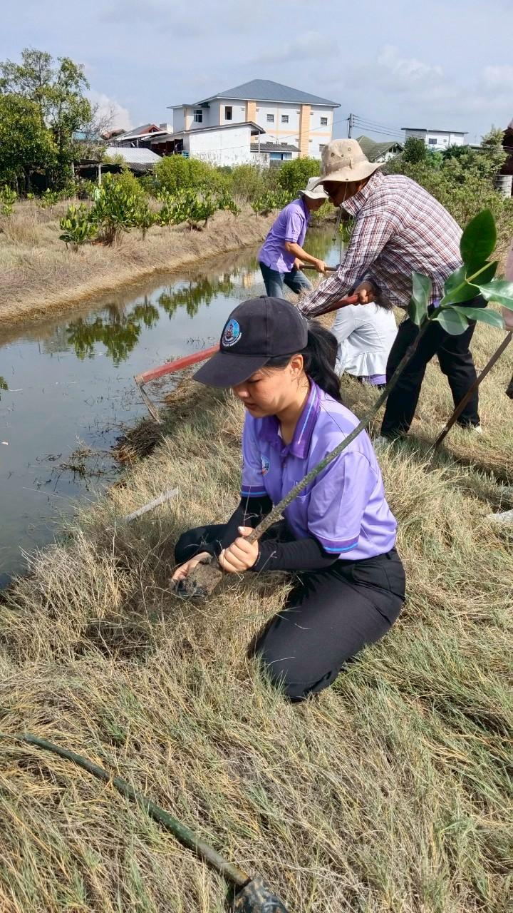ภาพประกอบที่ 2