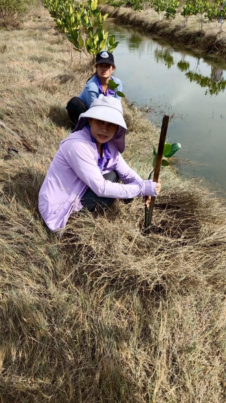 ภาพประกอบที่ 3