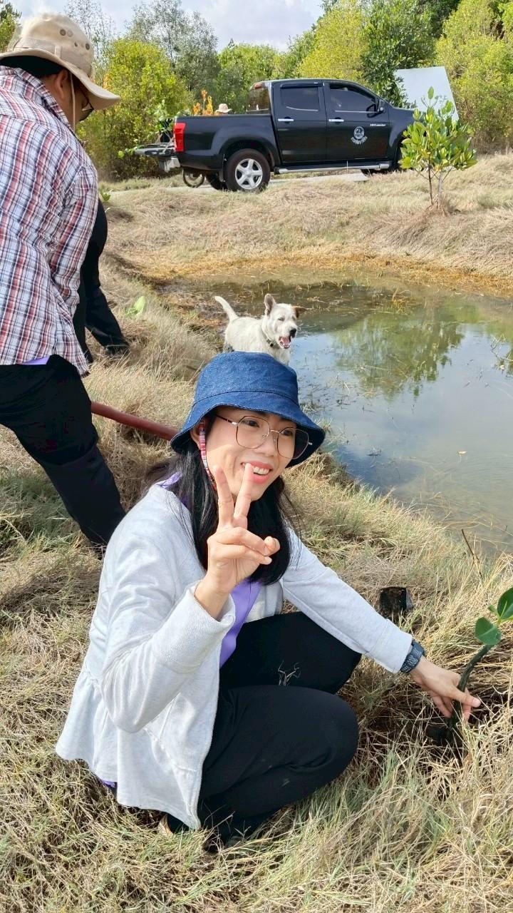 ภาพประกอบที่ 4