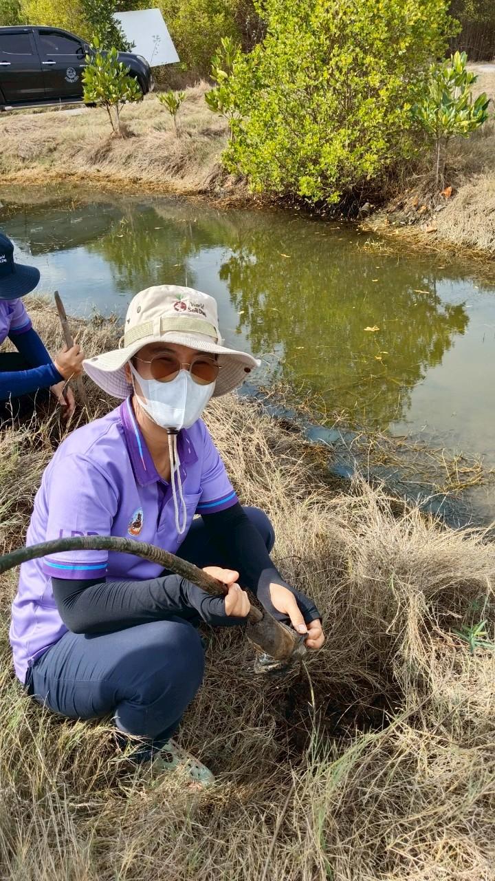 ภาพประกอบที่ 6