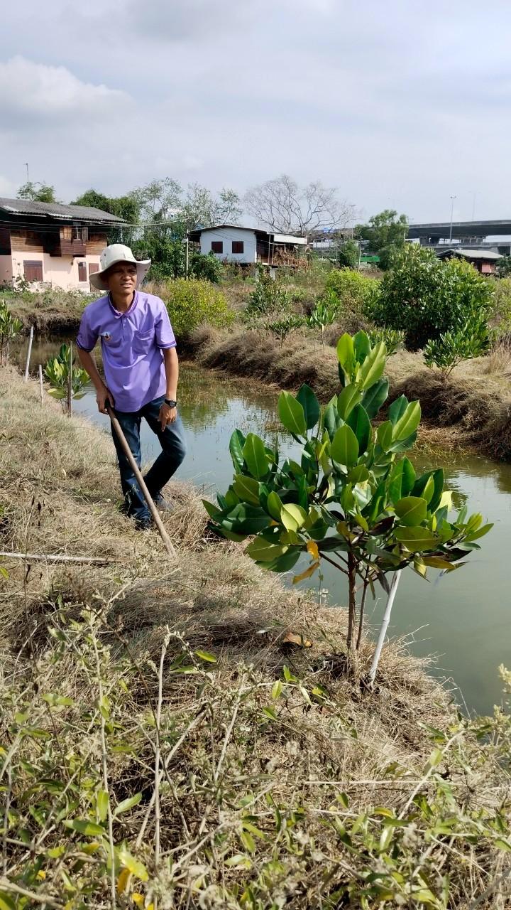 ภาพประกอบที่ 7