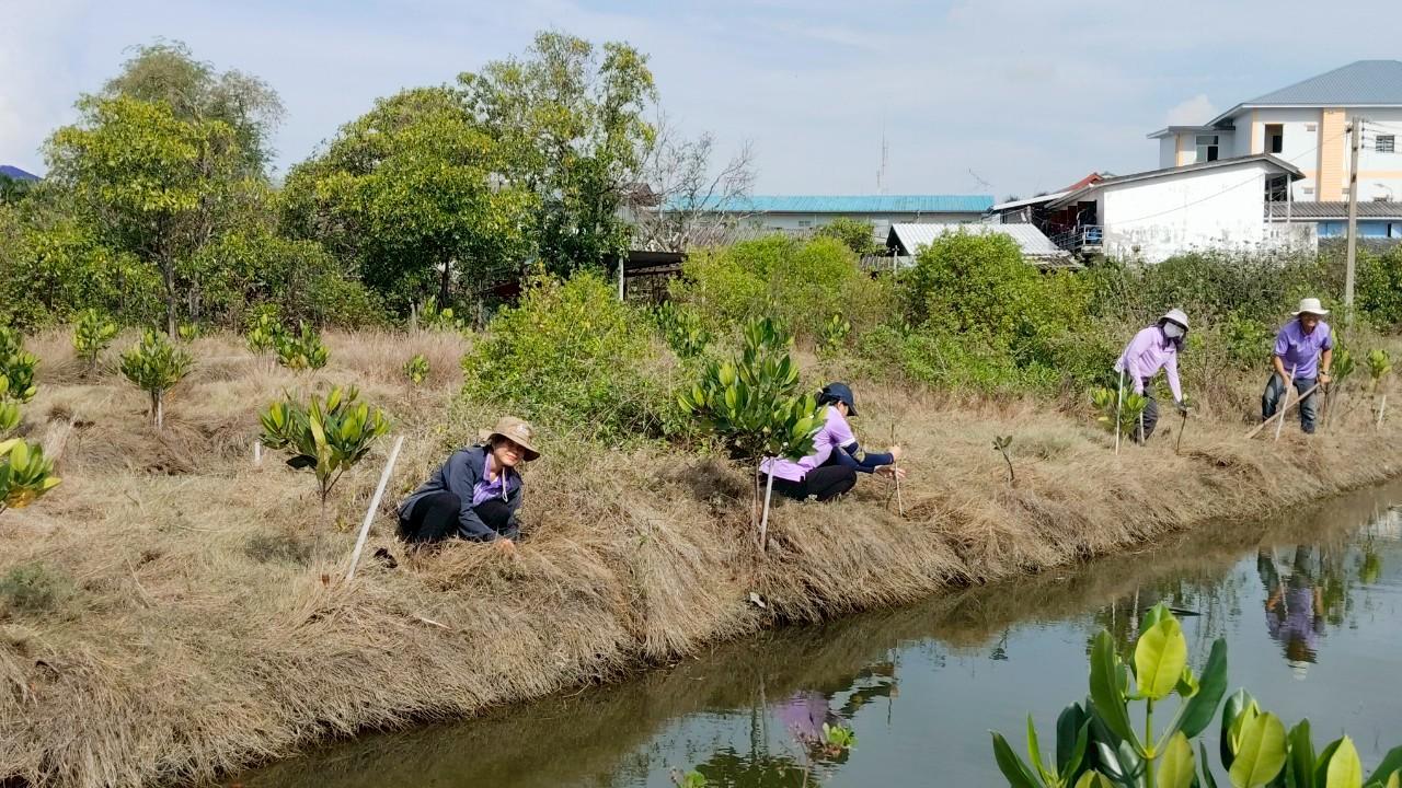 ภาพประกอบที่ 8