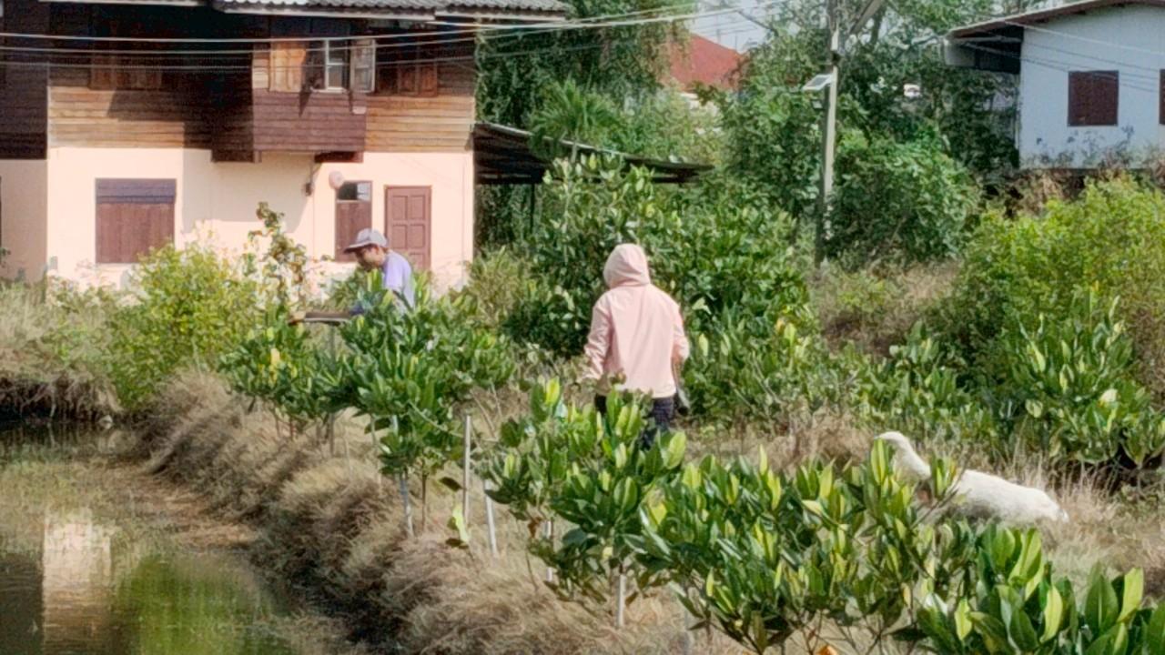 ภาพประกอบที่ 9