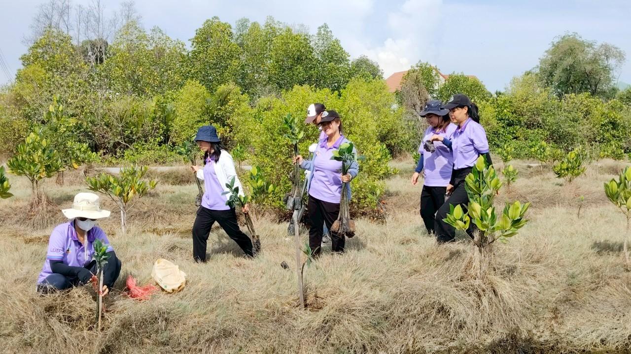ภาพประกอบที่ 10