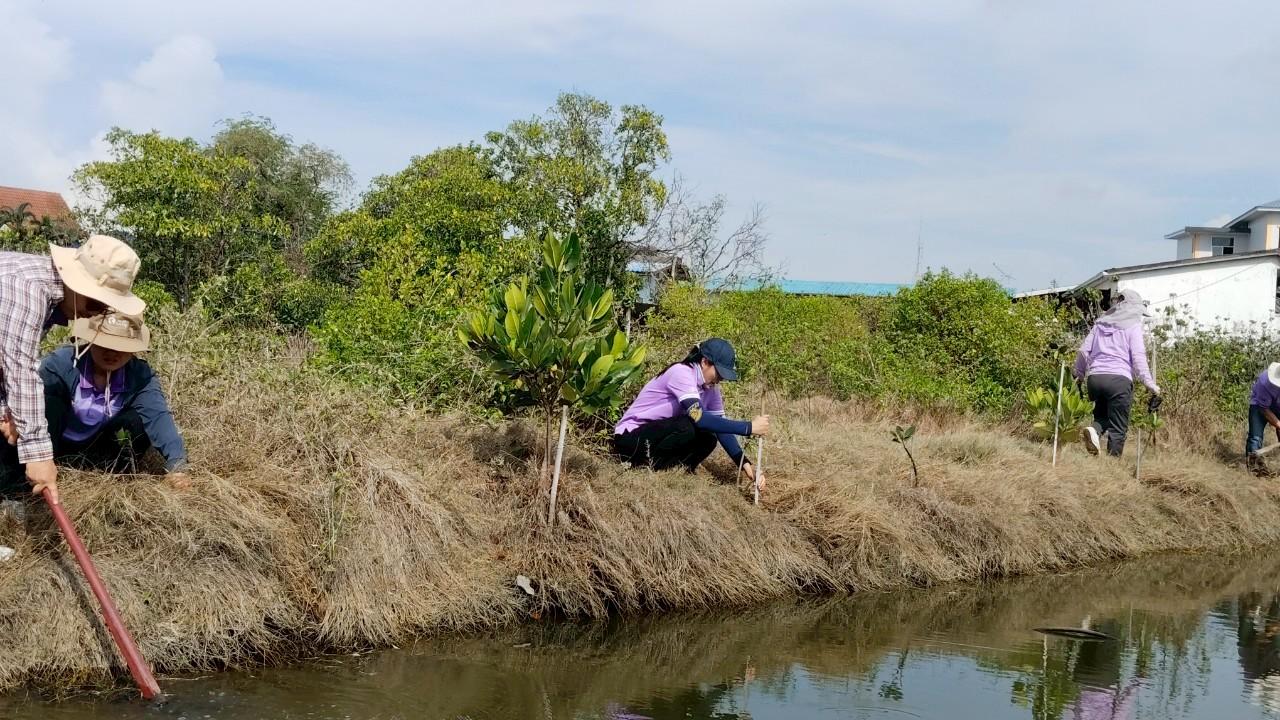 ภาพประกอบที่ 11