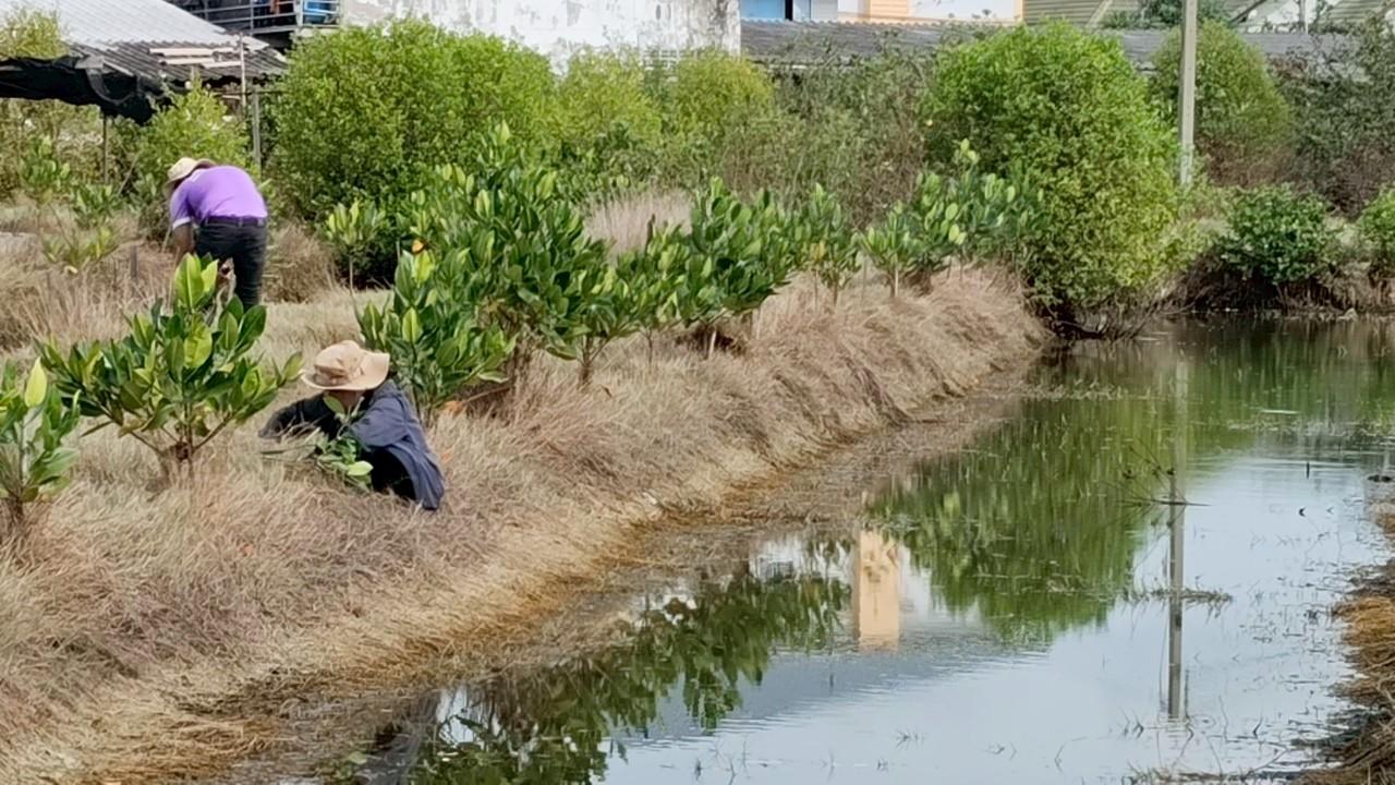 ภาพประกอบที่ 13