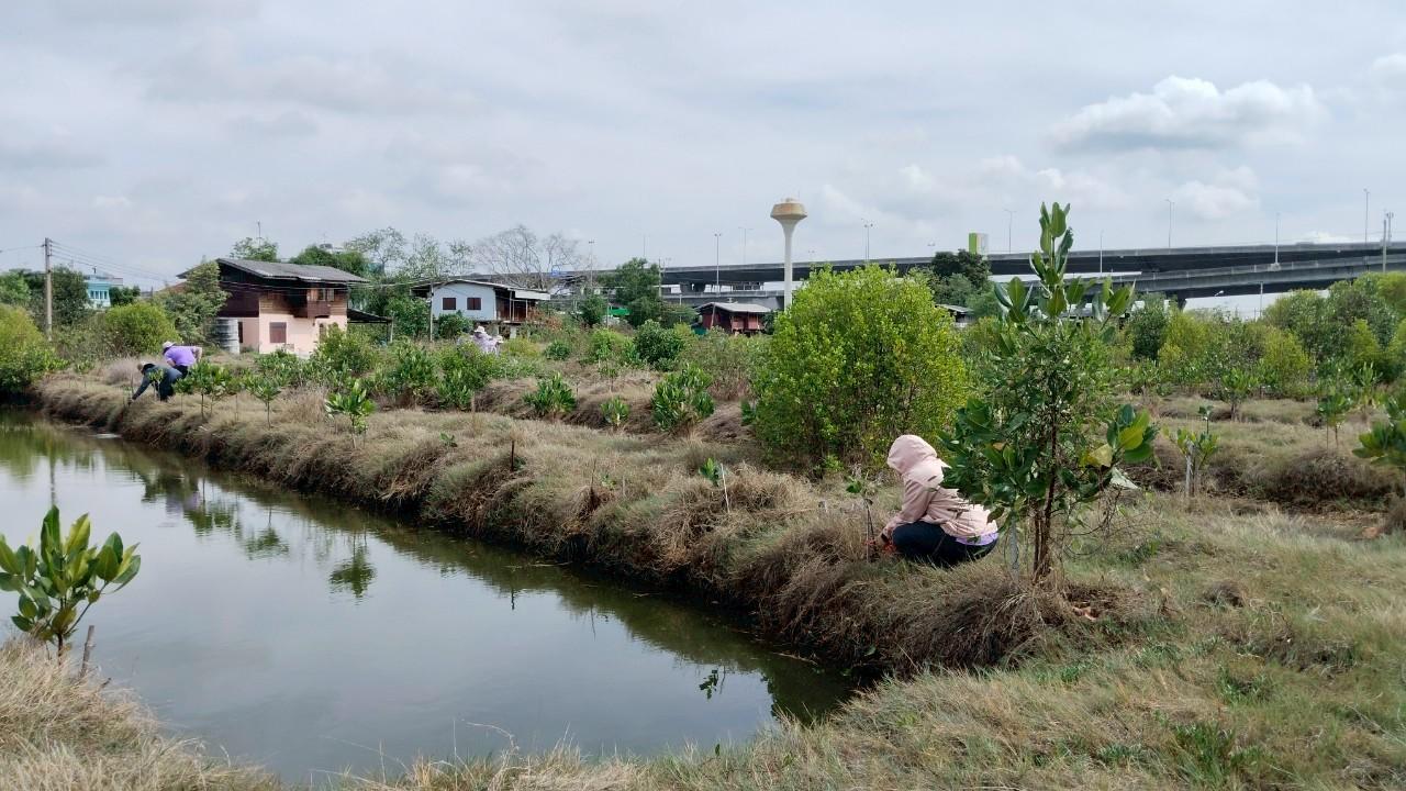 ภาพประกอบที่ 14