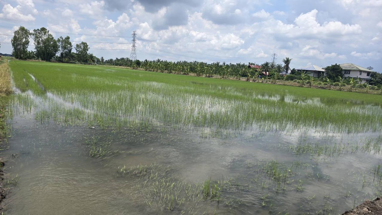 ภาพประกอบที่ 0