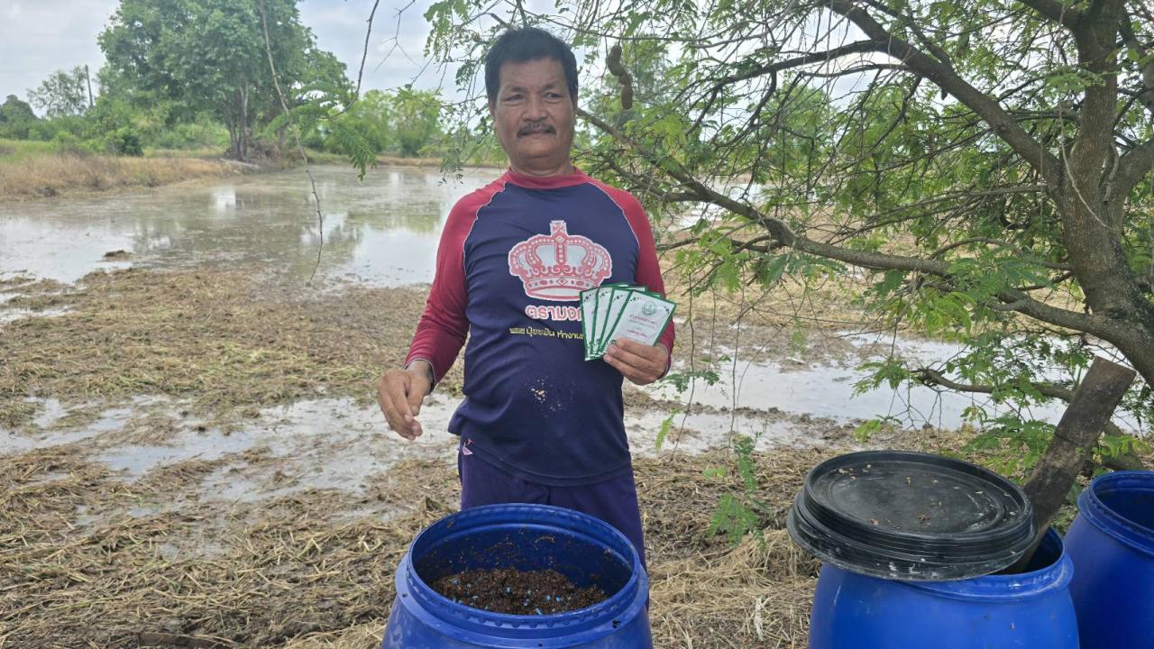 ภาพประกอบที่ 2