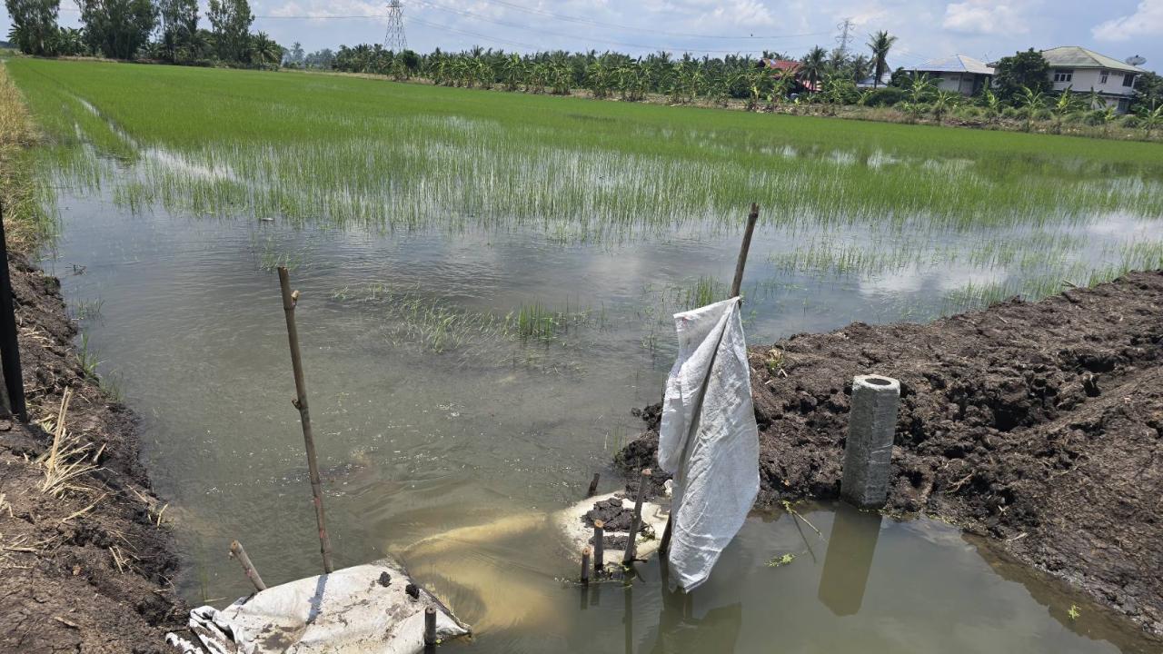 ภาพประกอบที่ 5