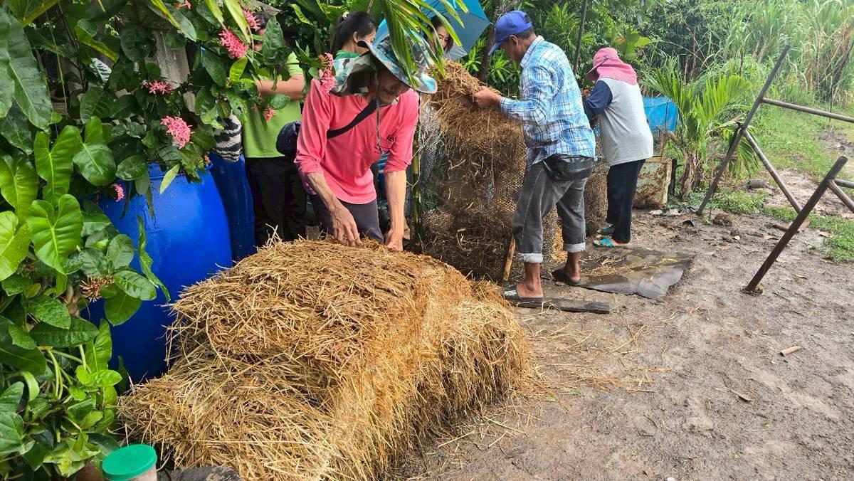 ภาพประกอบที่ 7