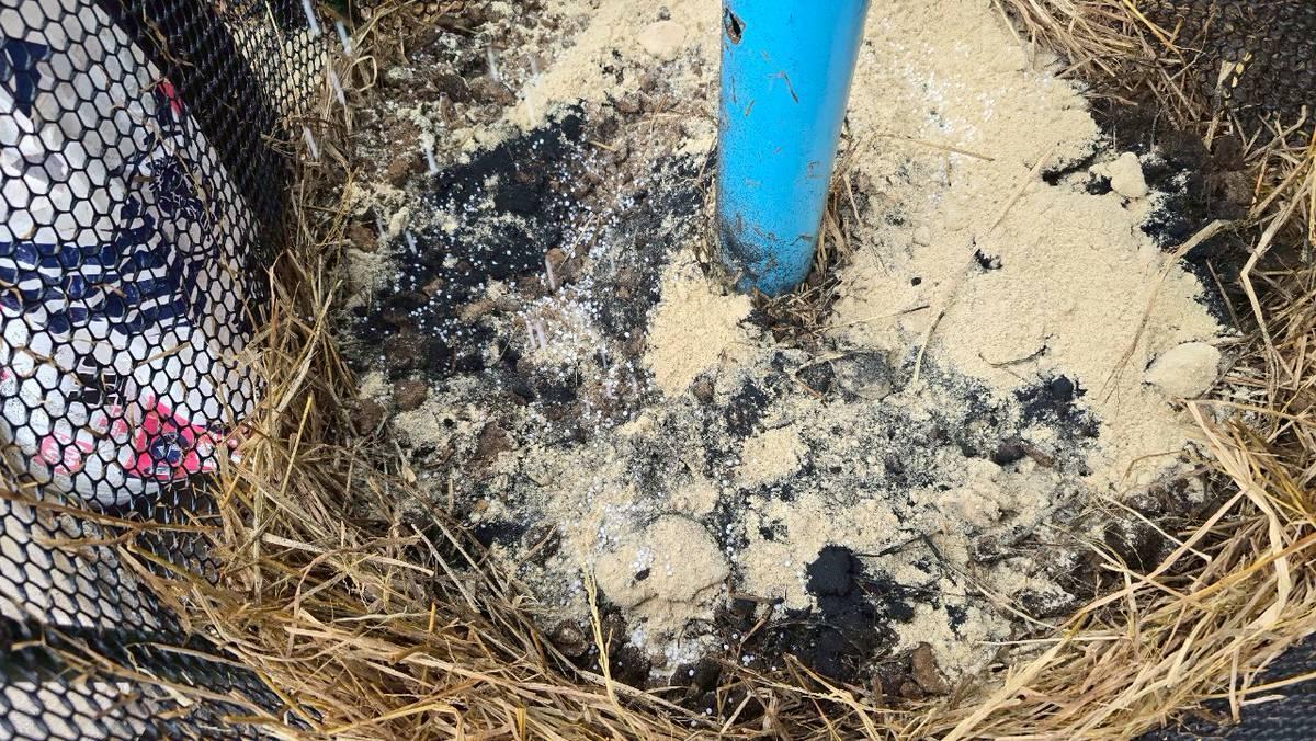 ภาพประกอบที่ 8