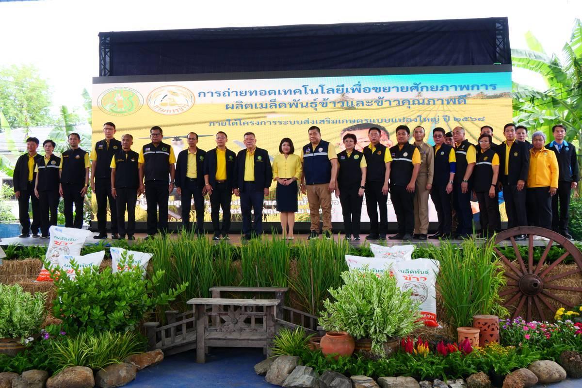 ภาพประกอบที่ 5