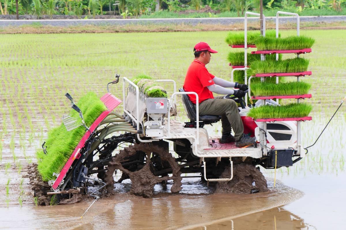 ภาพประกอบที่ 9