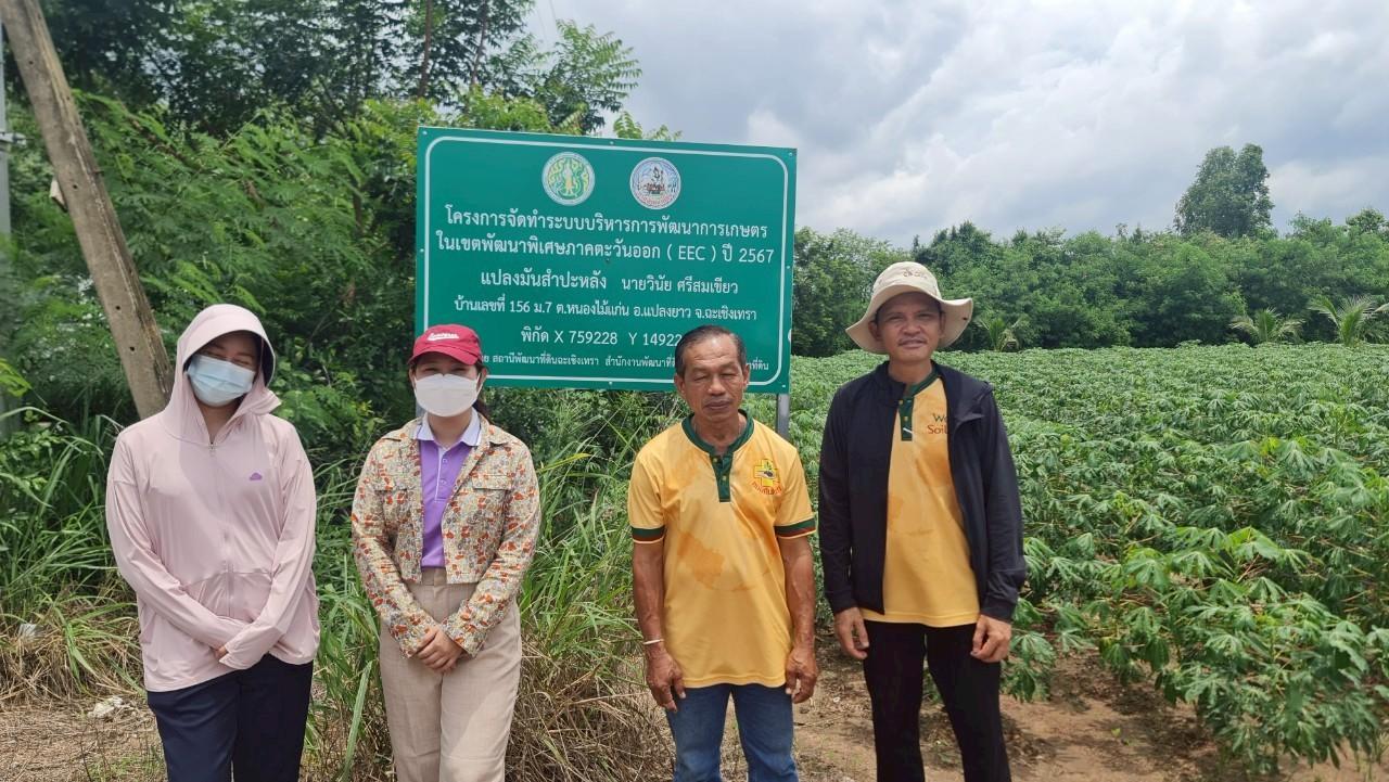 ภาพประกอบที่ 13