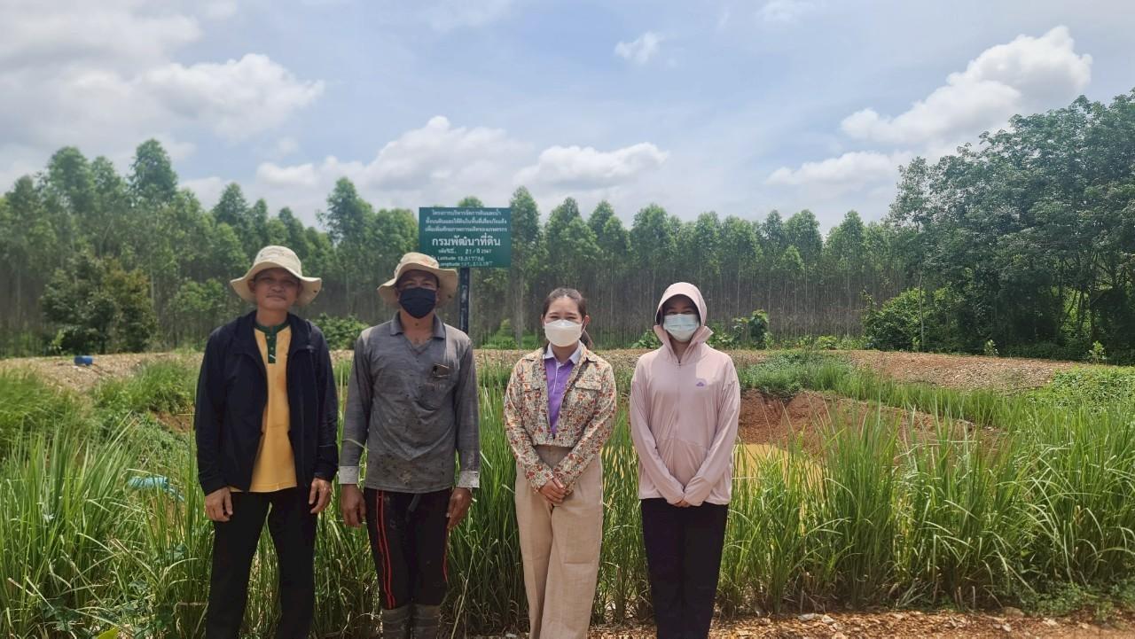 ภาพประกอบที่ 15