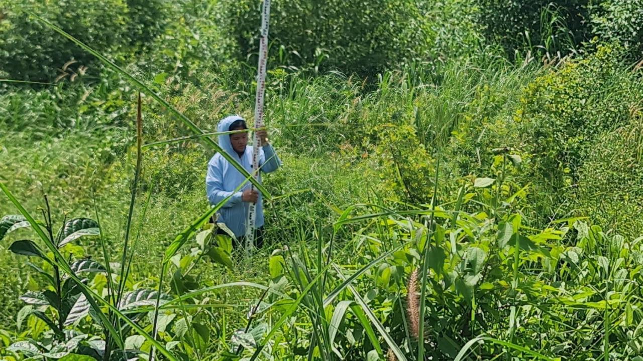 ภาพประกอบที่ 9