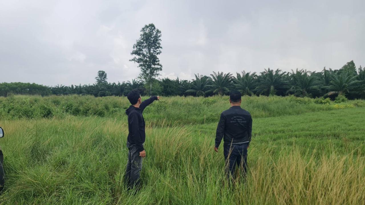 ภาพประกอบที่ 0