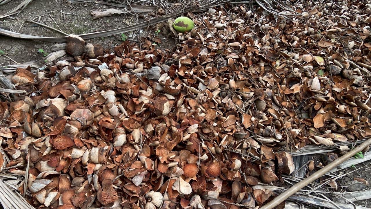 ภาพประกอบที่ 11