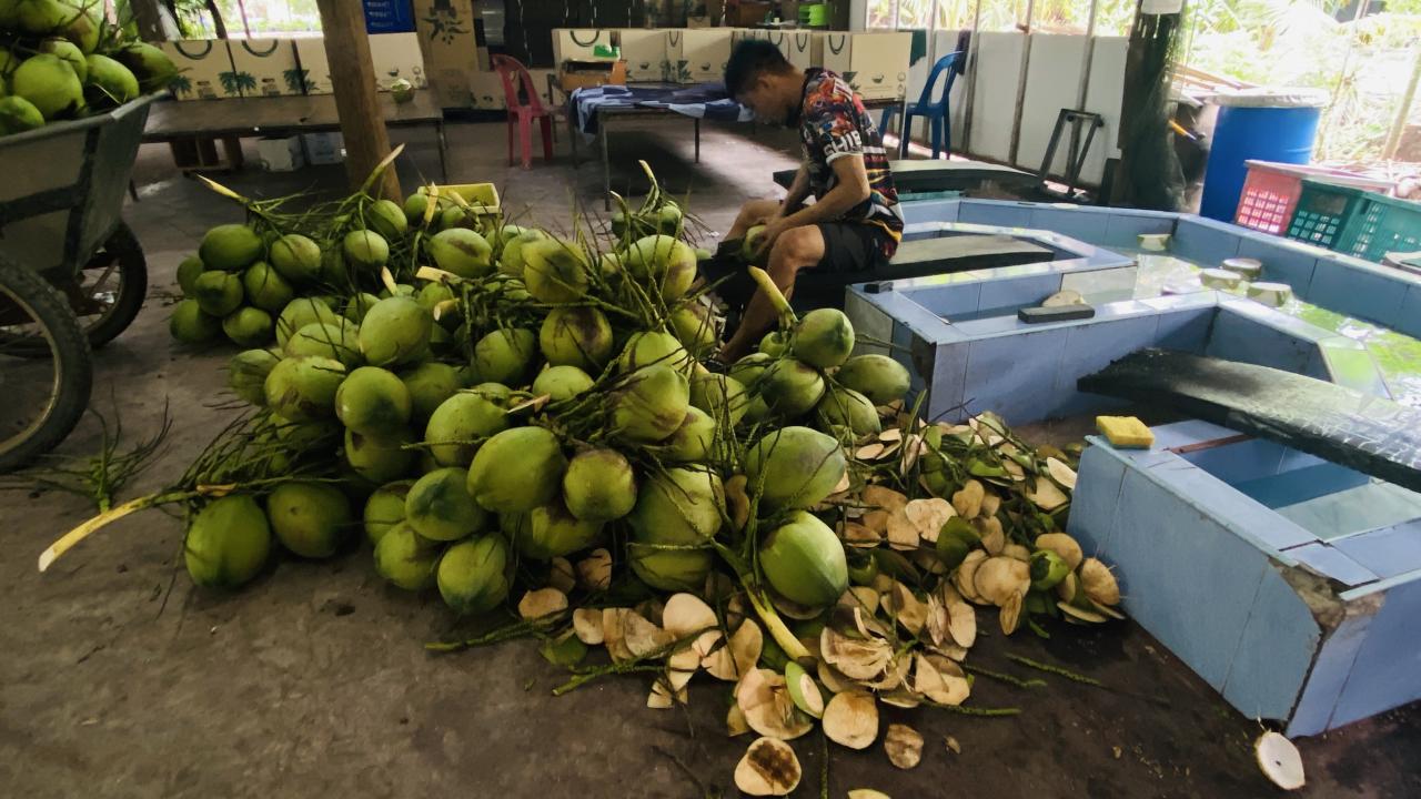 ภาพประกอบที่ 13
