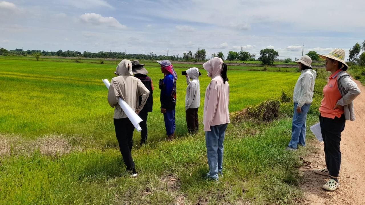 ภาพประกอบที่ 6