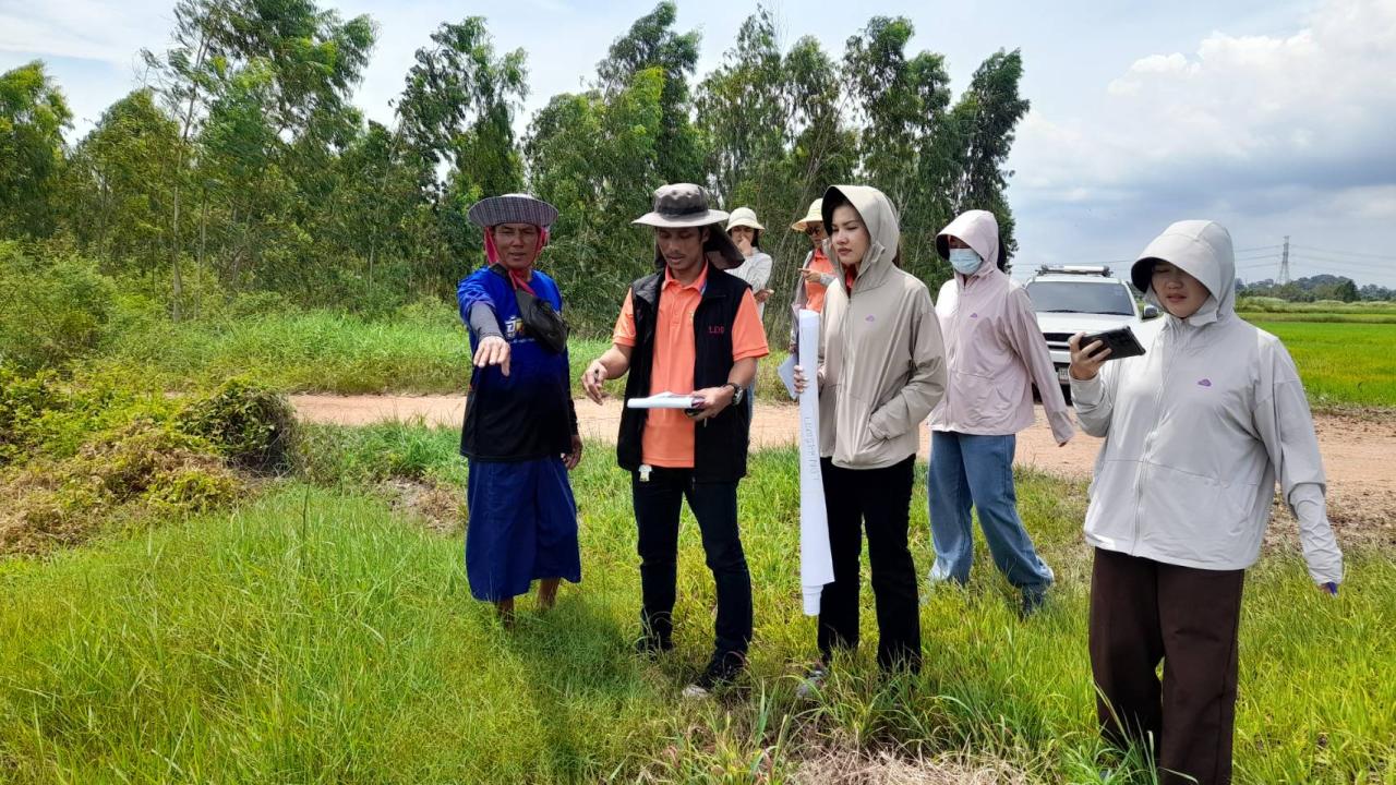 ภาพประกอบที่ 7