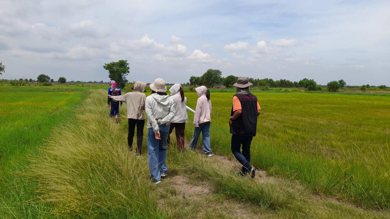 ภาพประกอบที่ 8