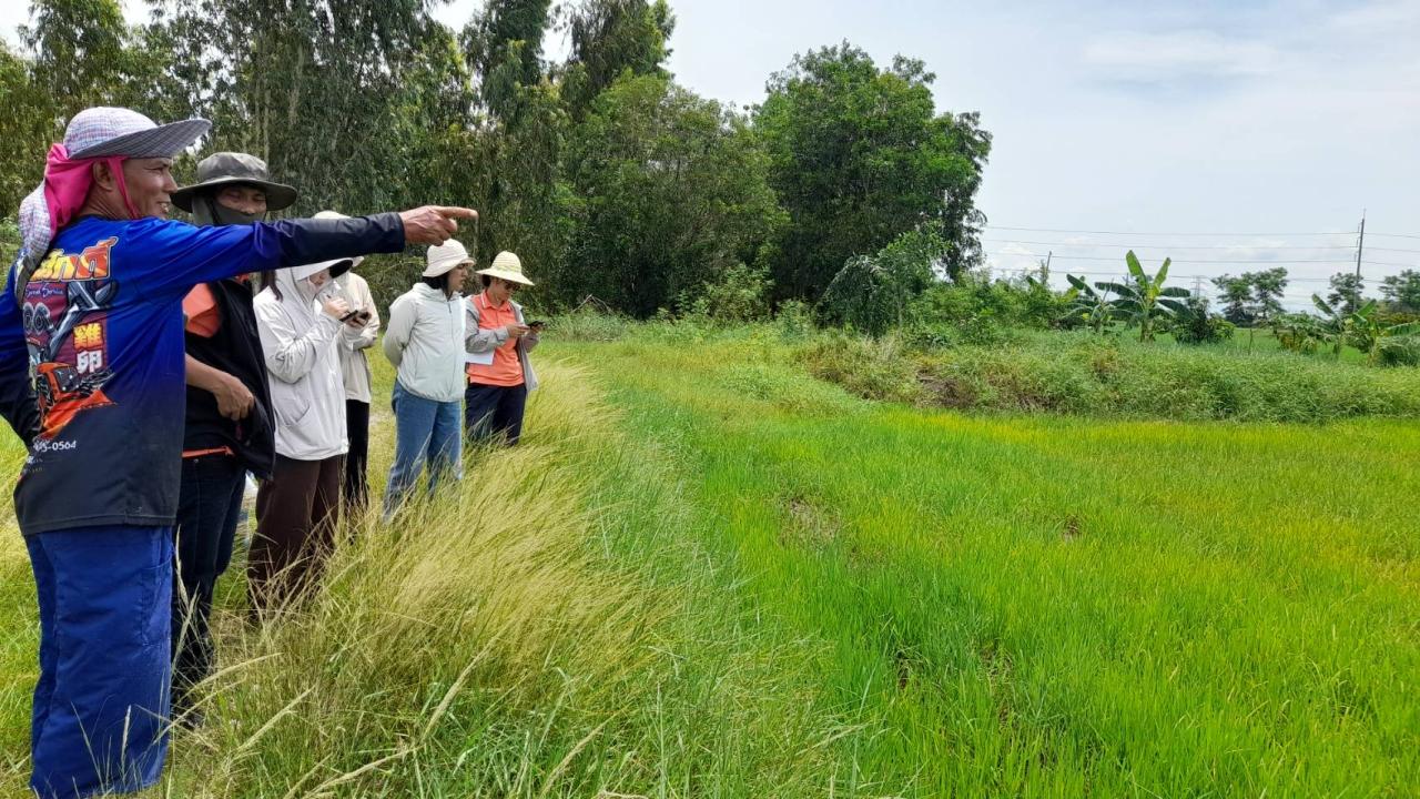 ภาพประกอบที่ 9