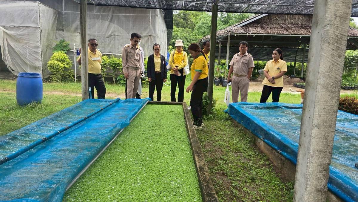 ภาพประกอบที่ 6