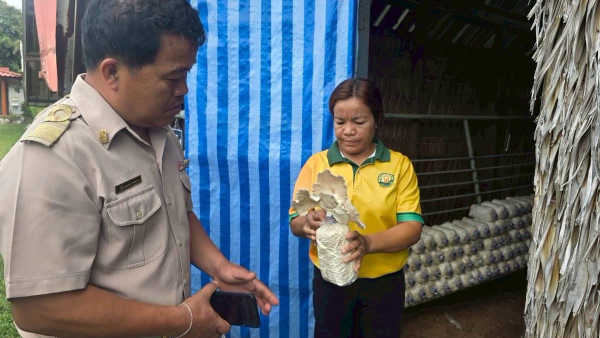 ภาพประกอบที่ 7