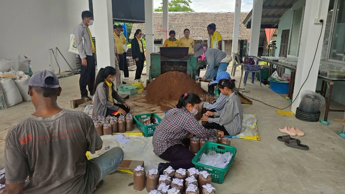 ภาพประกอบที่ 8