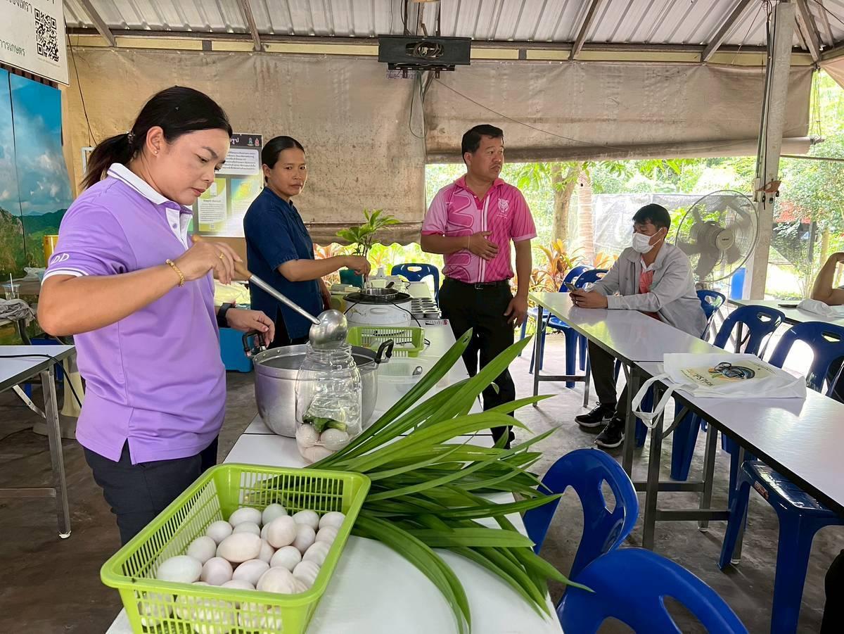 ภาพประกอบที่ 12