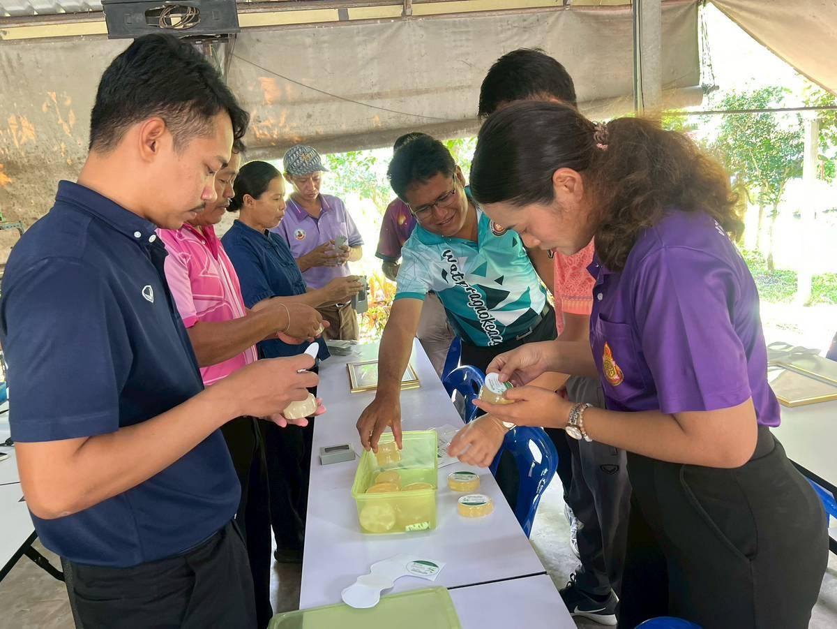 ภาพประกอบที่ 13