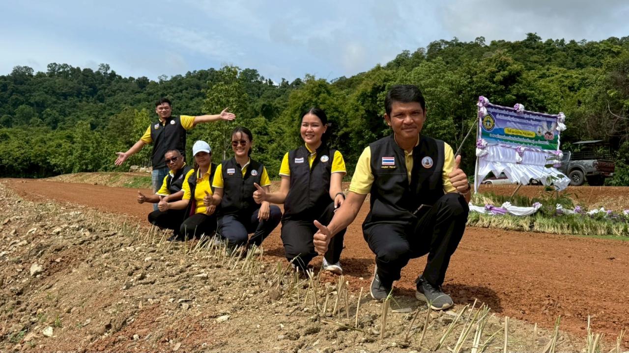 ภาพประกอบที่ 0