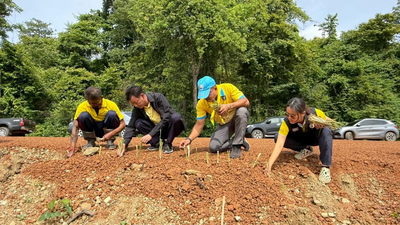 ภาพประกอบที่ 2