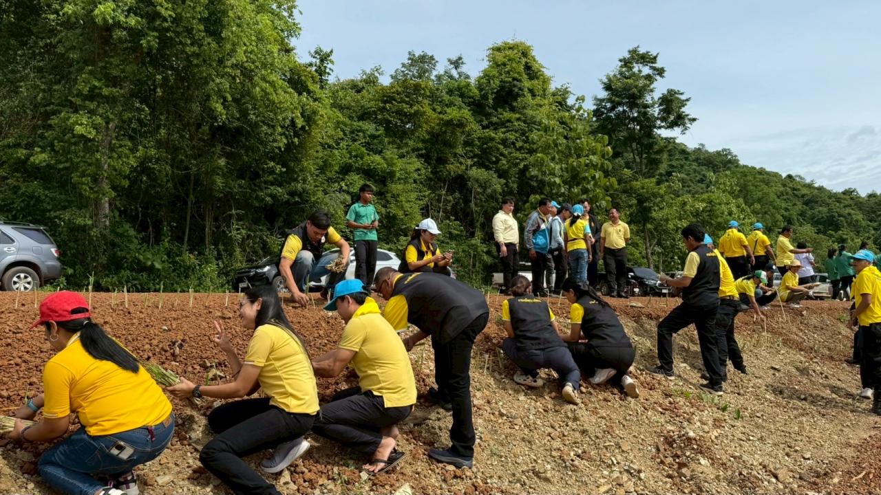 ภาพประกอบที่ 6