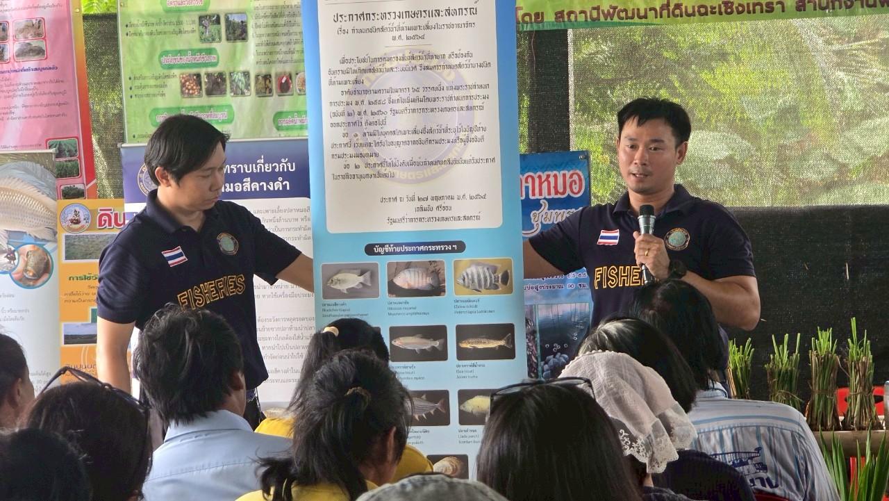 ภาพประกอบที่ 5