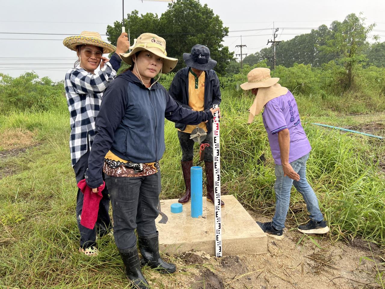 ภาพประกอบที่ 7